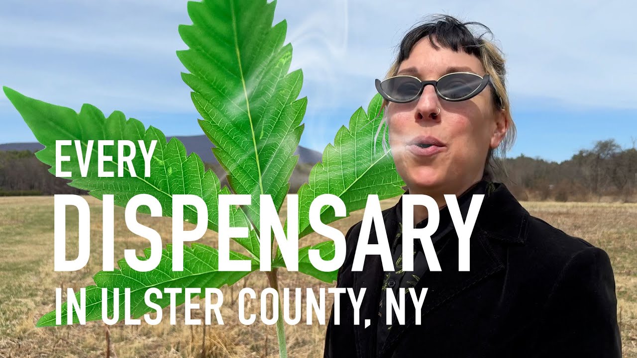 DISPENSARIES! - We Visited Every Cannabis Shop in Ulster County