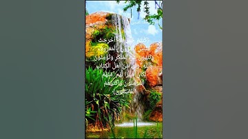 القارئ يوسف القيسي