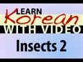 Learn Korean with Video - Insects 2