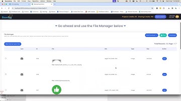 DE8 : Easily Extract Media Files (Image, Audio, Video) from SCORM Elearning Output