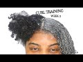 How to Train Your Natural Hair! Reduce frizz to improve wash n gos, twist outs & braid outs | Week 2