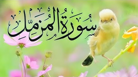 Surat Al-Muzzammil (Enshrouded One) سورة المزمل | Surah Muzammil Full