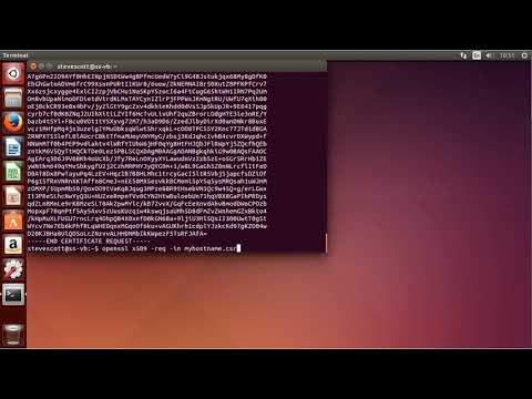 Video: Hoe werk ek my Nginx SSL-sertifikaat op?
