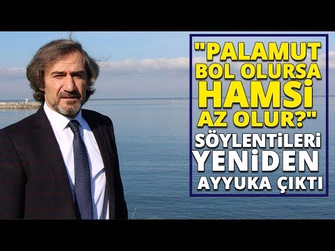 Hamside Son 17 Yıldır İnişli Çıkışlı Av Sezonları Yaşanıyor