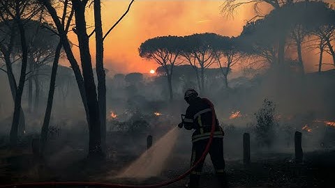 Violent incendie dans le Var : troisième jour de lutte, une personne décédée • FRANCE 24