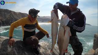 Asombrosa Lucha De Este Pescador Corvina GIGANTE en Peñas ROCAS