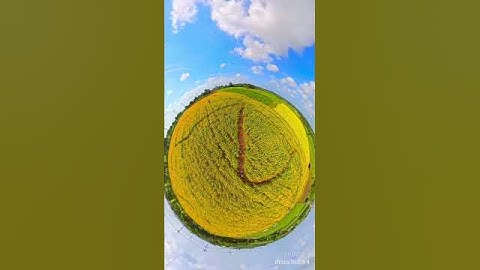 The Easiest 360 Camera Trick EVER! Tiny Planet Magic In Seconds! | Insta360 X5