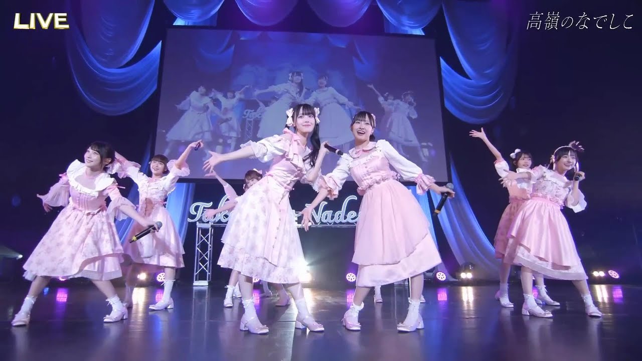 [Live] 高嶺のなでしこ (타카네노 나데시코) - メランコリックハニー (멜랑콜릭 허니) 한글자막