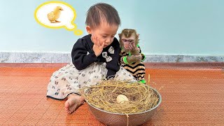 Monkey Kaka and Diem sit waiting for the eggs to hatch.
