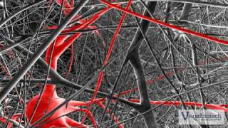 Scientific 3D Red Neuron Zoomout