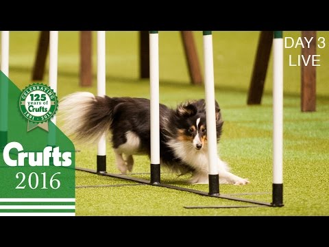 Day 3 Live | Crufts 2016