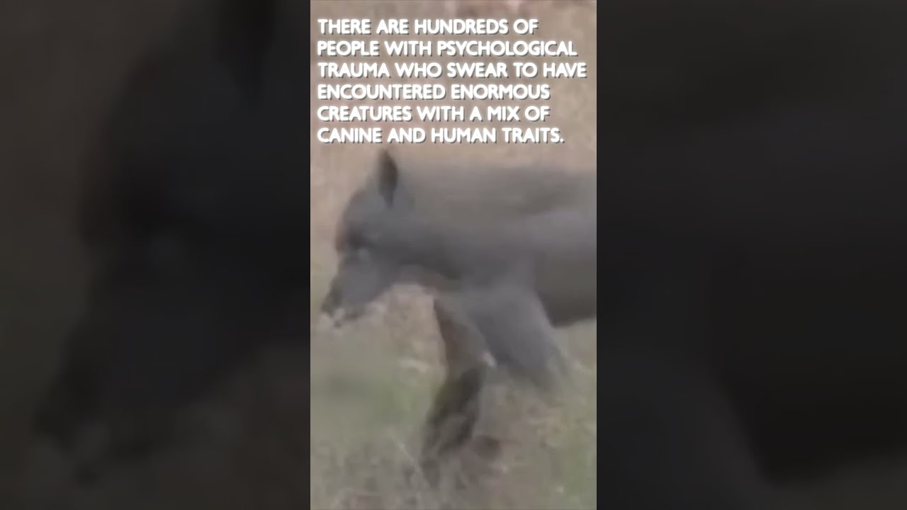 Dogman In The Field Strangespotting
