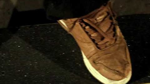 pj ladd frontside flip