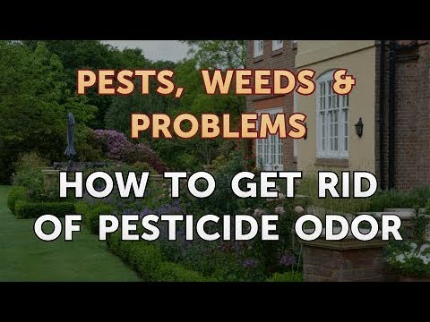 How to Get Rid of Pesticide Odor