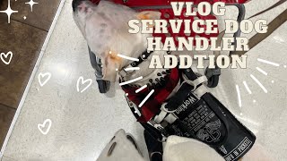 Vlog|￼ service dog handler addition | going on a walk, SD tasking (11.6.22)￼