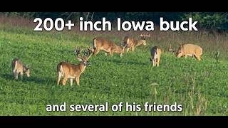 Iowa Big Buck ‘Field of Dreams’