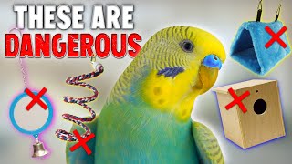 These 5 Dangerous Things can Hurt your Bird
