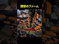 ドーナツSMP史上最大ファーム