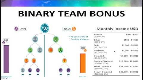 Binary Team Bonus Commission