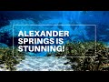 Alexander Springs Campground Tour & Review | Florida Springs | Ocala National Forest