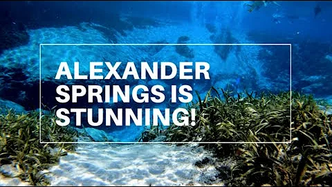 Alexander Springs Campground Tour & Review | Flori...