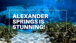 Alexander Springs Campground Tour & Review | Florida Springs | Ocala National Forest