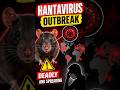 Hantavirus Outbreak on Cruise Ship | 3 Dead, Passengers Trapped at Sea!