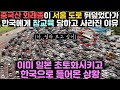 중국산 외래종이 서울 도로 뒤덮었다가 한국에게 참교육 당하고 사라진 이유