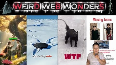 weird web wonders vol 58