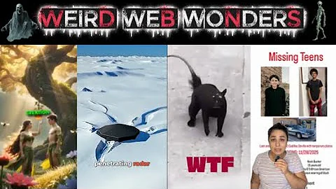 weird web wonders vol 58