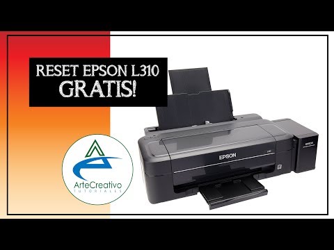 Reset Almohadillas L310 | Foci