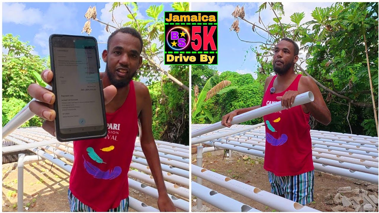 Hakim | Hydroponic Farming | Arcadia St Thomas Jamaica 
