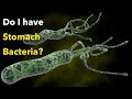 Do I need to treat the stomach bacteria Helicobacter Pylori?