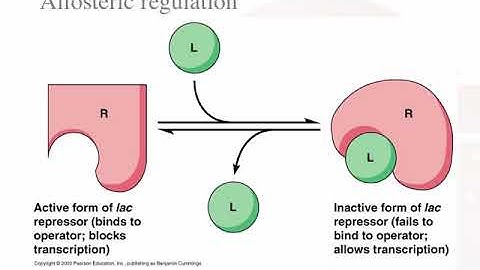 BME2140_Transcriptional_regulation_lecture