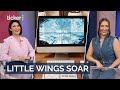 IN THE DRIVERS SEAT - ALITA HARVEY RODRIGUEZ