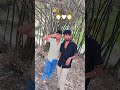 #video​ |Tuti Na Yari |टूटी ना यारी |#Priyanshu_Pandey​ Ft Gaurav Mishra | Yari Song 2025