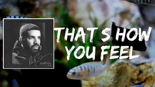 Thats How You Feel (Lyrics) by Drake