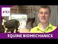 Equine Biomechanics - FEI Equestrian Snapshots