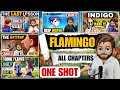 Flamingo chapters in one shot  class 12 english all chapters  flamingo  one shot  boards 2024