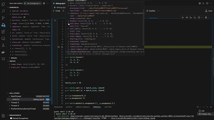 Debugging Tensors and Datasets in PyTorch