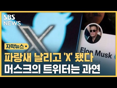 파랑새 날리고 X 됐다 머스크의 트위터 혁명 파괴 자막뉴스 SBS 