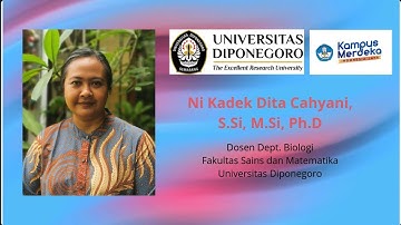 Mastering Data Analysis | Pengenalan RStudio Basic part 2 | FREE