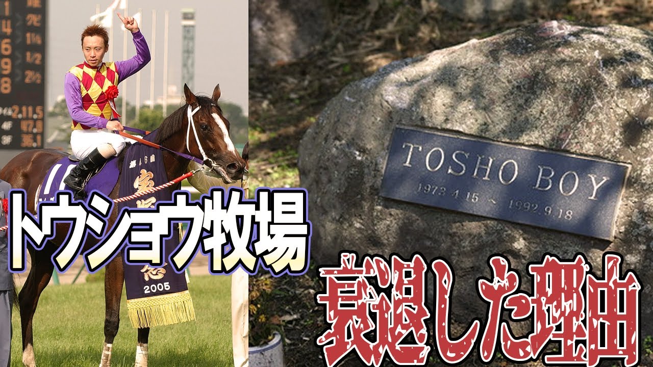 貴重映像・昭和レトロ】天馬 トウショウボーイ 1976年有馬記念 | JRA