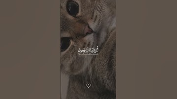 احترم القران الكريم دقيقه واحده بس ❤️🕋😞