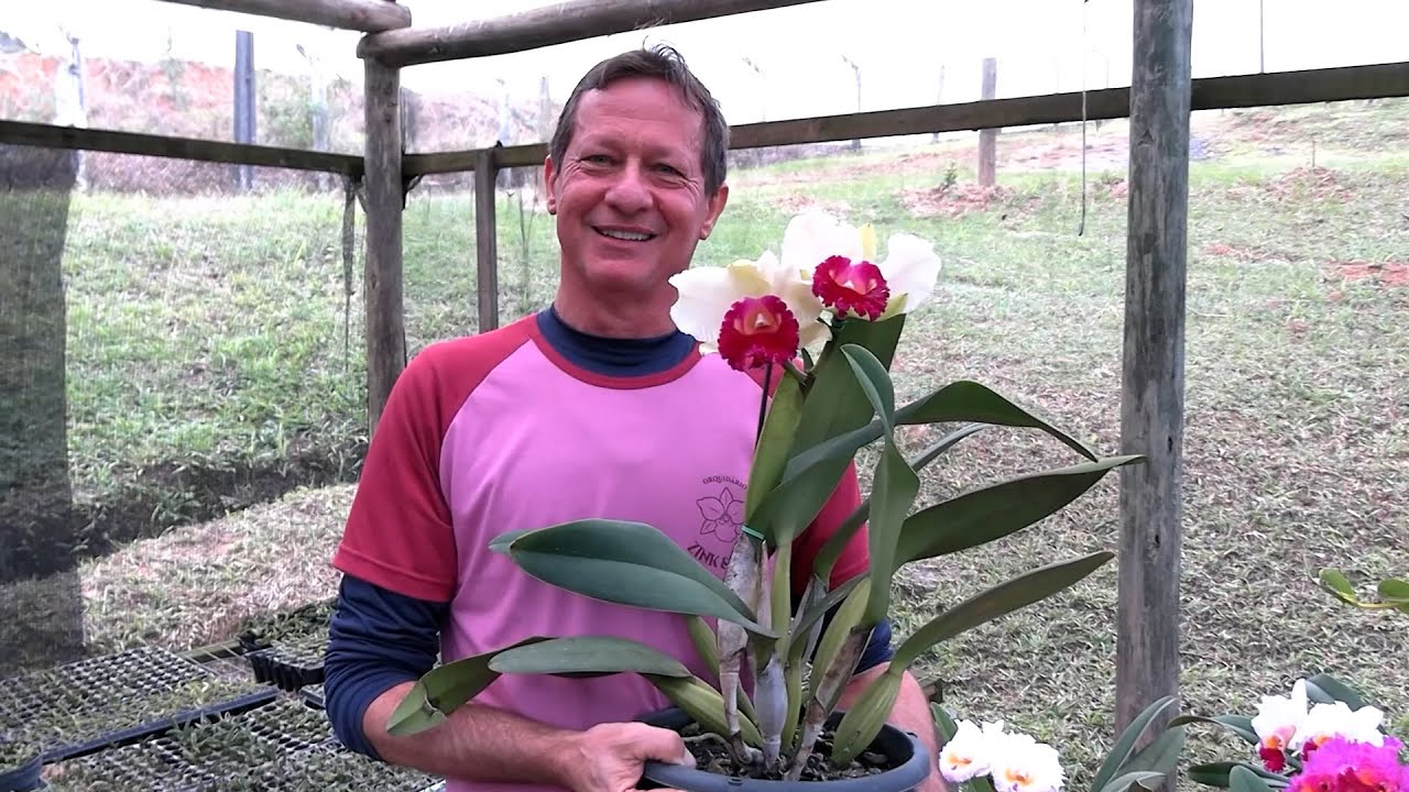 Paixão familiar que virou negócio