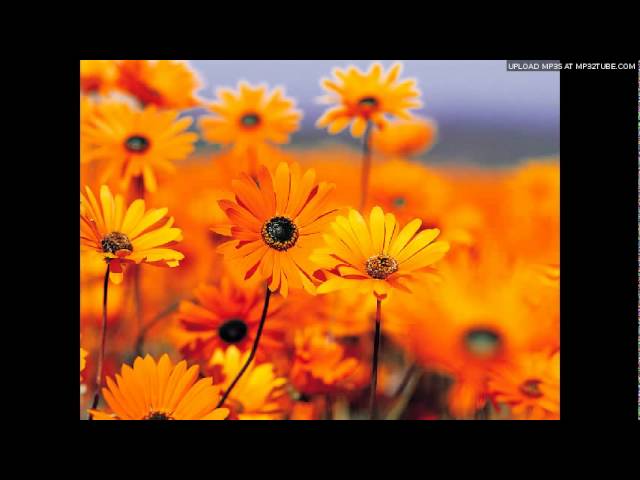 Tera Mera Jod Nahi Tu Thigni Or Main Lamba Video Thumbnail