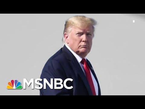 Rick Wilson: Trump Attracts The Worst Grifters And Scumbags | The 11th Hour | MSNBC