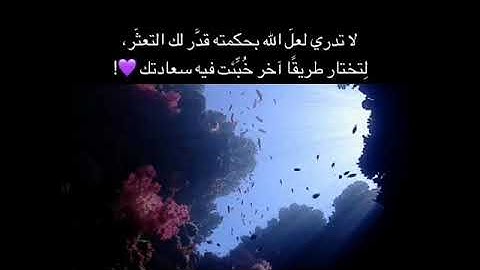 قرآن كريم بصوت ناصر القطامي ارح سمعك ❤ حالات واتس اب اسلامية