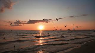 Golden Horizons ! Harmony in Sunrise and Sunset