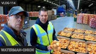 Delivering FARMVLOG #114 onions to Waterman- Onions